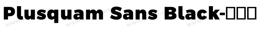 Plusquam Sans Black字体转换